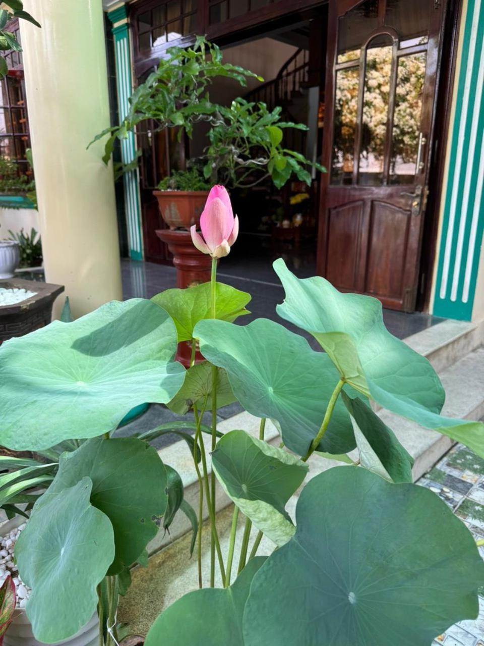 Noel Homestay Туихоа Экстерьер фото